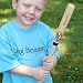 Mini Rawlings Baseball Bat