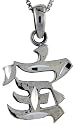 Sterling Silver Chinese Character for "WEALTH" Pendant, 1 1/8" (28 mm) Tall.