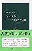 シュメル―人類最古の文明 (中公新書)