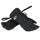 ノースフェイス(THE NORTH FACE)アルタスノーグローブ NN86809