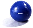 ALINCO(�A���C���R) �G�N�T�T�C�Y�{�[�� EX-017 65cm