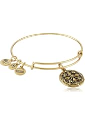 Alex and Ani Compass II EWB Rafaelian Bangle Bracelet