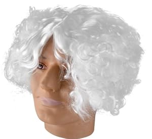 Adult Men's Mad Scientist Wig