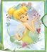 Disney Fairy Tinker Bell Throw Blanket 50x60