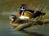 Tuftop Tempered Glass Kitchen Board, Wildlife Collection - Wood Ducks