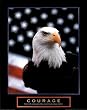 Courage (Eagle & Flag) Art Poster Print - 22x28