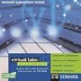 Virtual Labs: Electricity
