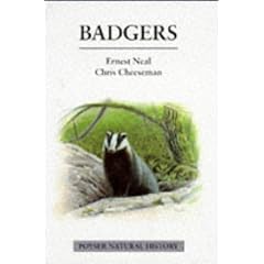Badgers (Poyser natural history)