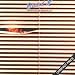 Phil Collins Collaborations