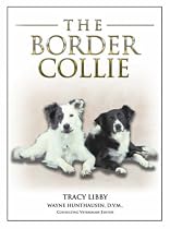 The Border Collie