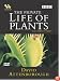 The Private Life Of Plants [1995]