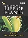 The Private Life Of Plants [DVD] [1995]