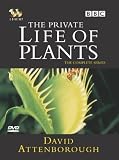 DVD : The Private Life Of Plants [1995]