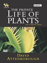 The Private Life Of Plants [DVD] [1995]