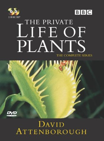 Childrens Toyshop  DVD : The Private Life Of Plants [1995]