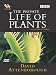 The Private Life Of Plants [DVD] [1995]