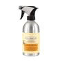 Stainless Steel Spray - Citrus Mint Ylang Ylang by Caldrea