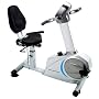 Stamina Elite Total Body Recumbent Bike