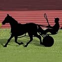 Pattern for Harness Racer