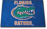 Florida Gators Tailgater Indoor / Outdoor Rug