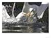 Great Black-Backed Gull, Adults Fighting Over Fish on Water, Norway Photographic Poster Print by Mark Hamblin, 16x12