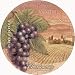 Thirstystone 4-pc. Wine Country Coaster Set
