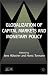 Globalization of Capital Markets and Monetary Policy (Anglo-German Foundation)