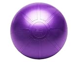 GoFit Ultimate Burst Resistant Core Stability Ball with Workout DVD (65 cm)
