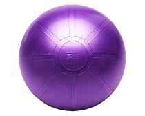 GoFit Ultimate Burst Resistant Core Stability Ball with Workout DVD (65 cm)