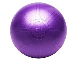 GoFit Ultimate Burst Resistant Core Stability Ball with Workout DVD (65 cm)