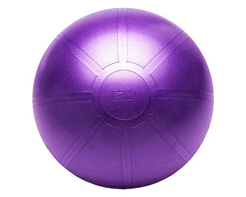 GoFit Ultimate Burst Resistant Core Stability Ball with Workout DVD (65 cm)
