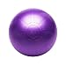 GoFit Ultimate Burst Resistant Core Stability Ball with Workout DVD (65 cm)