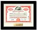 A Real Share of Johnson & Johnson Stock - A Unique Unique Gifts