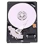 Western Digital RE3 Enterprise 500 GB Bulk/OEM Hard Drive 3.5 Inch, 16 MB Cache, 7200 RPM SATA II WD5002ABYS