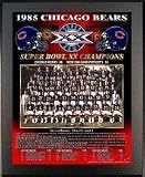 1985 Chicago Bears Super Bowl Champions Healy Plaque
