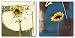 Anthropology II and III Set by Miguel Paredes 24x24 Art Print Poster