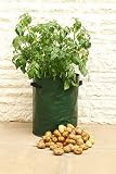 from Haxnicks Haxnicks Potato Patio Planter - Pack of 3