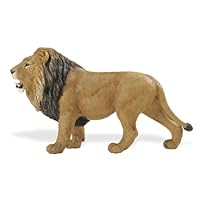 Safari Wildlife Wonders Lion