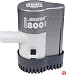 Seasense Auto 800 GPH Bilge Pump