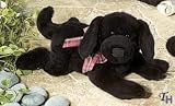 Buzzle Dog 25"