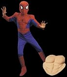 Spiderman Child Deluxe Comic Halloween Costume
