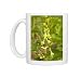 Photo Mugs of Birthwort - in flower. Widely used as a medicinal plant from Ardea Wildlife Pets