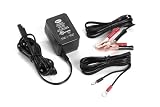 Bell Powersports The Juicer Motorcycle Battery Charger