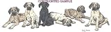 Great Dane - Puppies in a Row by Cindy Farmer
