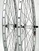 Wheel Rear 700 Sun Cr18 Silver Alivio 36H Ss 8Spd