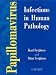 Search : Papillomavirus Infections in Human Pathology