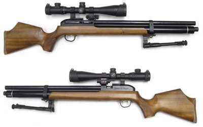 Career Dragon Slayer 50 Combo air rifle