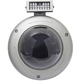 Speco Technologies Color Weather-Proof Day/Night Dome Camera with External IR LEDs