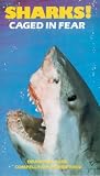 Review Gemini Entertainments Group Ltd.  / Sharks! - Caged In Fear [1984]