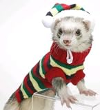 Marshall Ferret Hat & Sweater Set